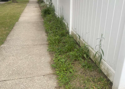 Front Yard Before Landscaping Project